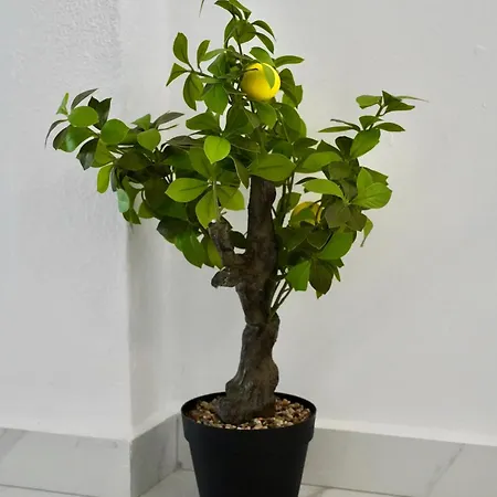 Orfanidou Apartamento